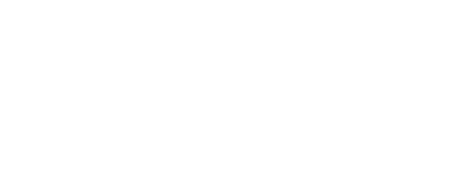 PitCharger Logo All-White